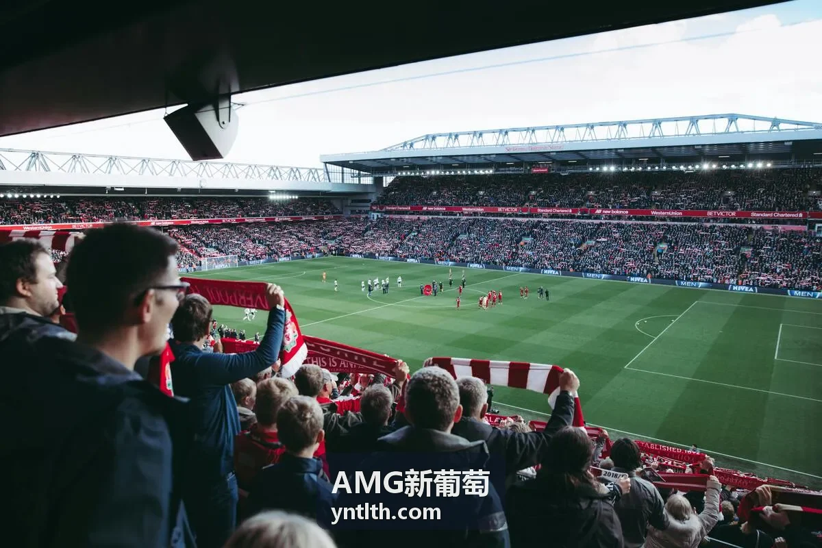AMG新葡萄庄园背景