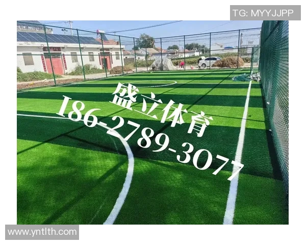 足球场的草如何影响比赛表现与运动员的心理状态探讨